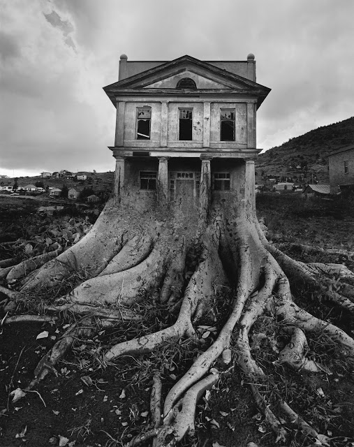 untitled-tree-house-1982.jpg