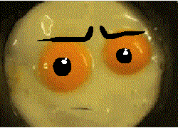 Untitled1.gif