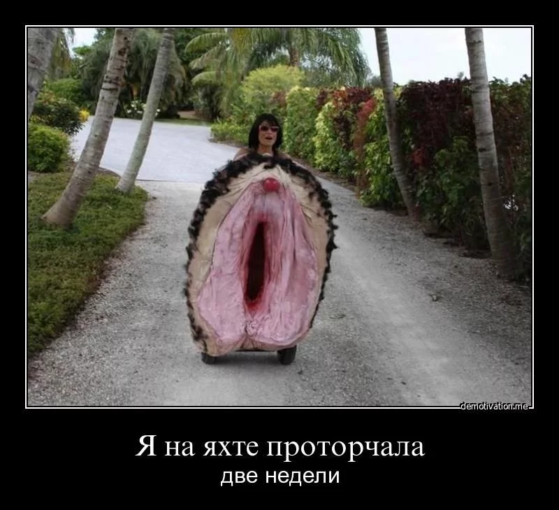 up166946-demotivator_037.webp