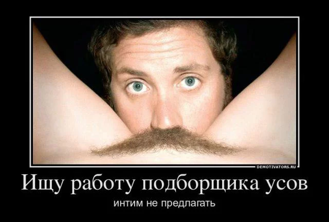 upload1844.webp