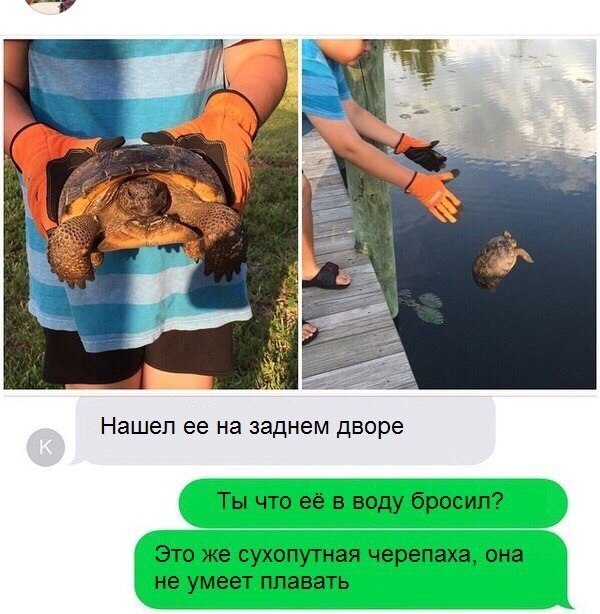 uQVIsbkEIBQ.jpg