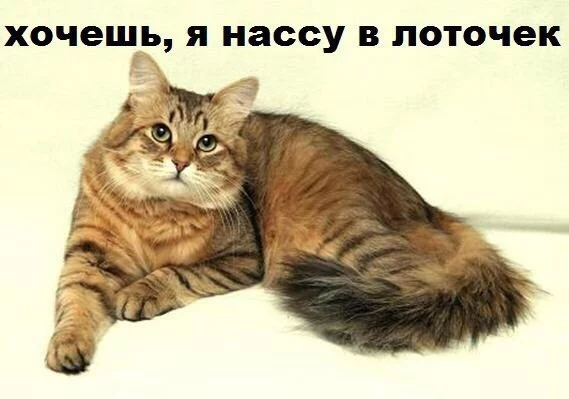 UQXr2__UDZI.webp
