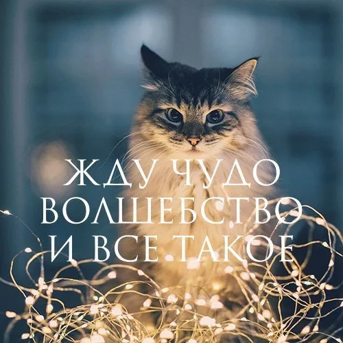 uRbjLMuk4MA.webp