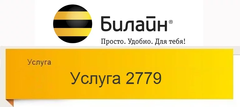usluga-2779.webp