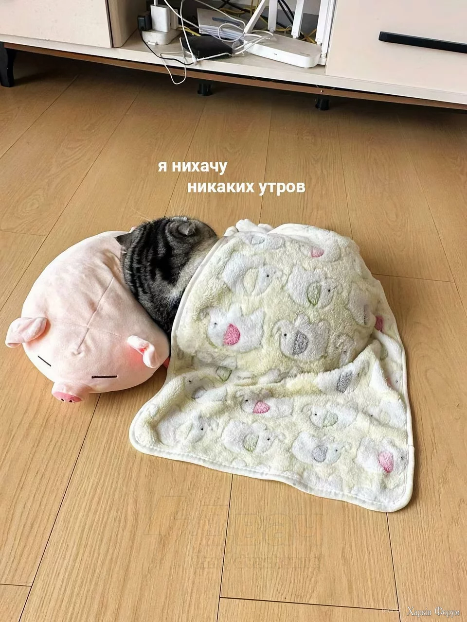  утров!.webp