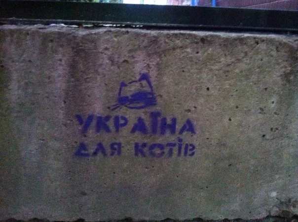UU8RKFqYndM.webp