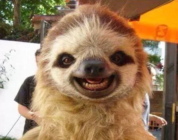 UuHRBhQNpsU.webp