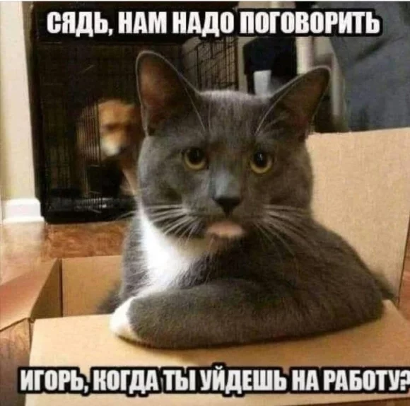 UVCrSS5MB8B0a388jUk39fGhb.webp