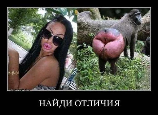 uvcwpsYMQ6A.webp