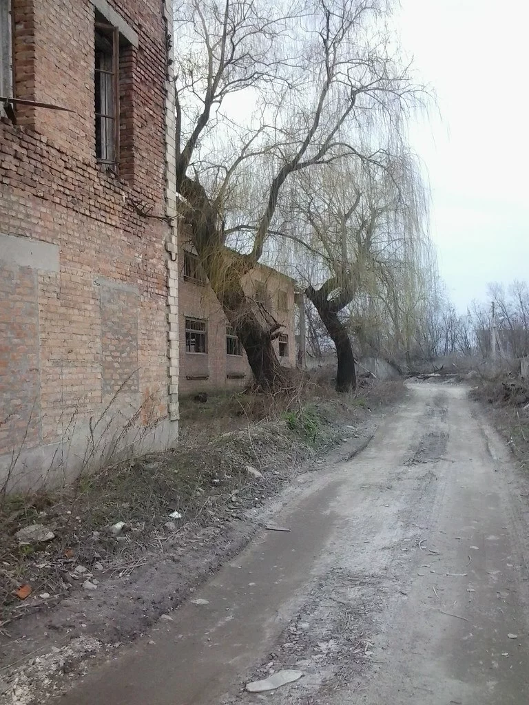 UvF1JYqr4n8.webp