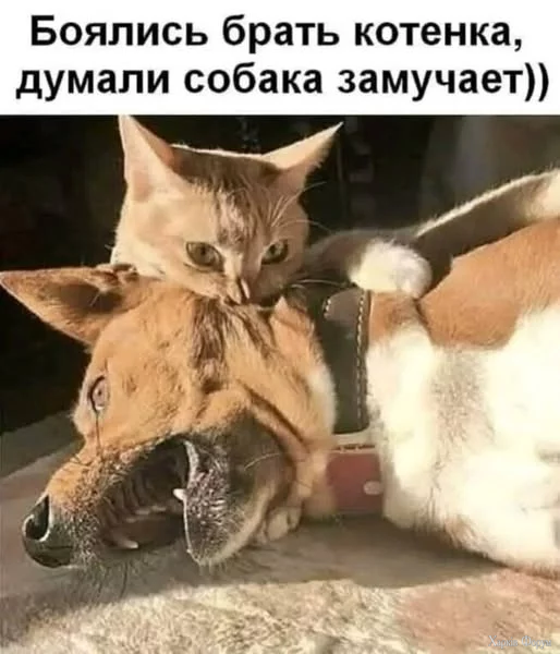 UWGxSwGq8DY7UOA&_nc_zt=23&_nc_ht=scontent.fiev28-1.webp