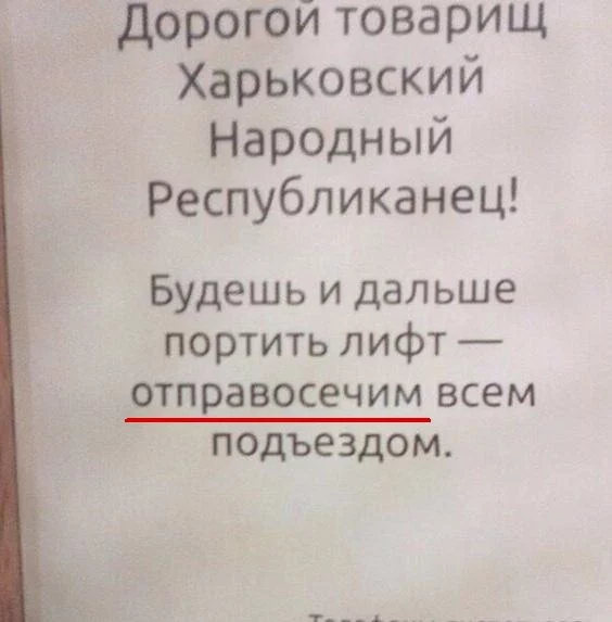 UzkCv9fO5vk.webp