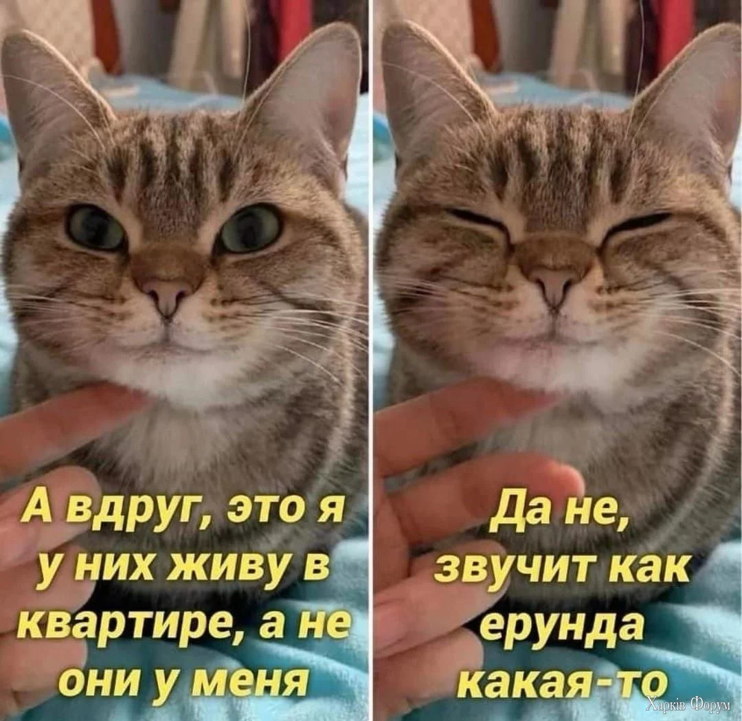  в чьей квартире.webp