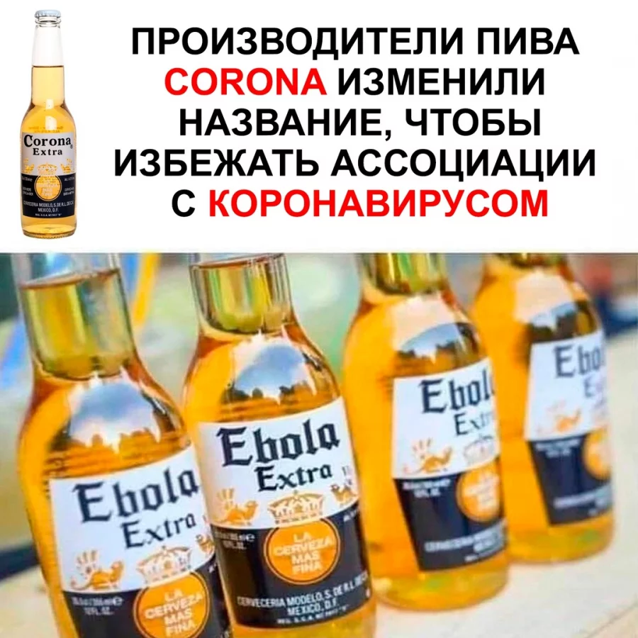 v0ozutyp.webp