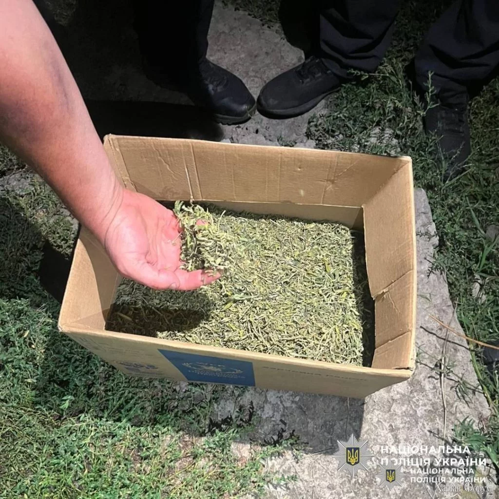 выращивали коноплю на Харьковщине