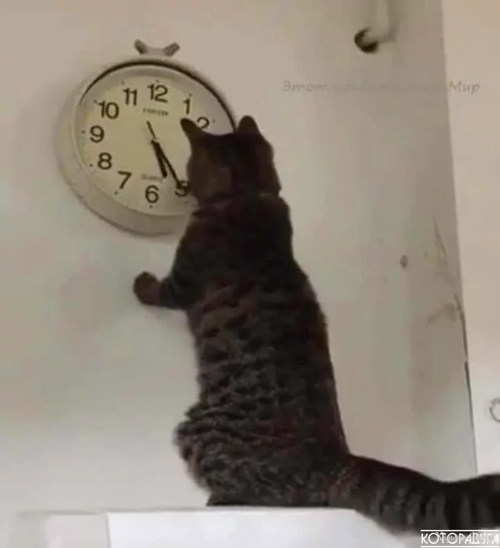 V5iK5u3T-SBaihmrsnjXg5MNsUG7DlElmZNgO6LKDbPymco5bI.png
