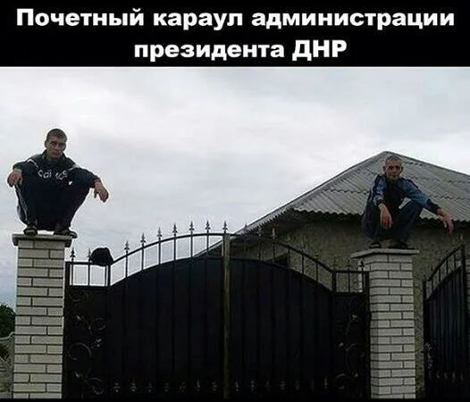 v791PgRJccY.webp