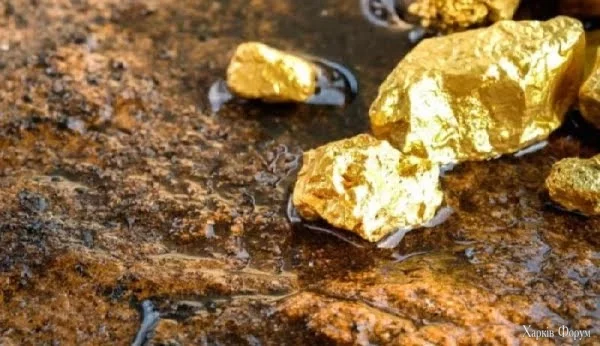 В провинции Сальта началась золотая лихорадка.