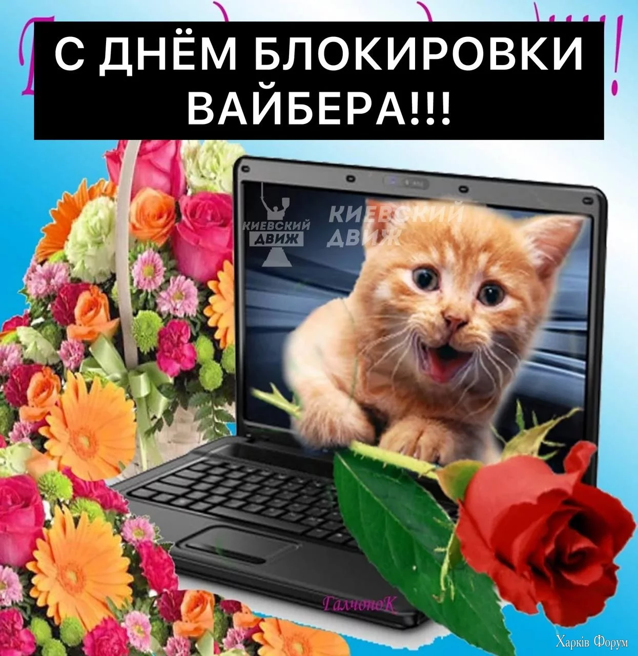  Вайбера в рф.webp