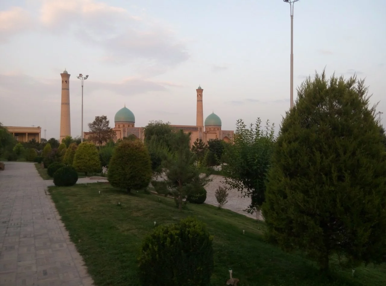 vaZ8Y4LFMto.webp