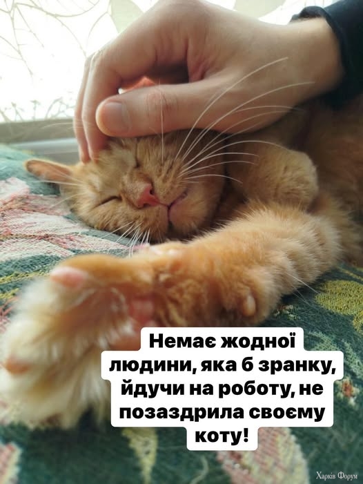 vB0Yd3V_RTErNHU&_nc_zt=23&_nc_ht=scontent.fiev25-1.jpg