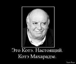 Цитаты Великого Котэ