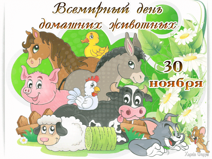 ВДДЖ2.gif