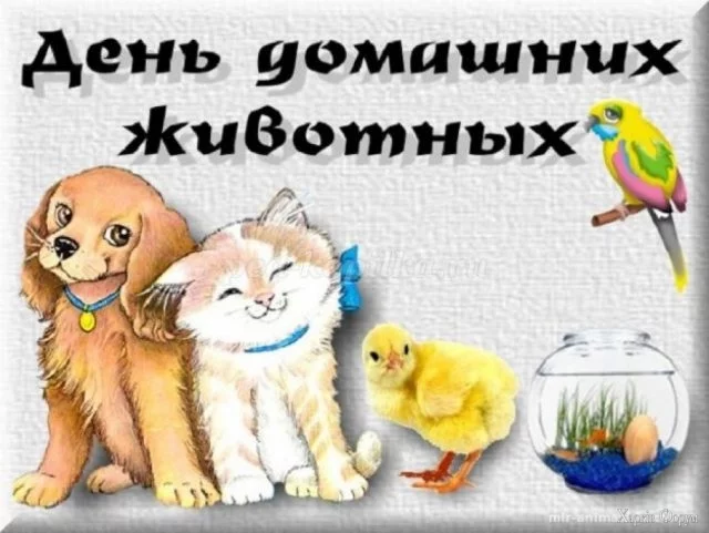 ВДДЖ4.jpg