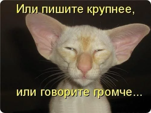 vDMuEZafbcQ.webp