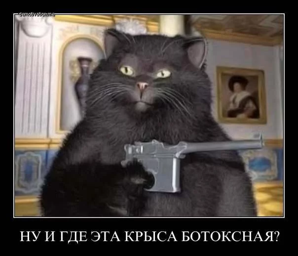 vDQap_xhXVs.webp