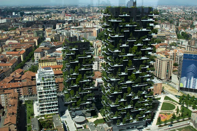 vertikaluy-les-v-milane-dd%2B%25281%2529.webp