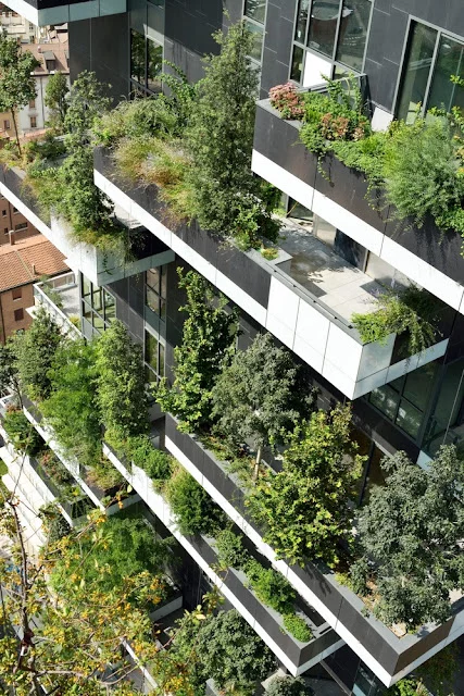 vertikaluy-les-v-milane-dd%2B%252818%2529.webp
