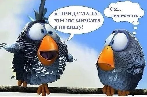 VF3hl7s-WQU.webp