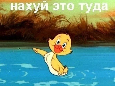 VfdeyQLNvxw.webp