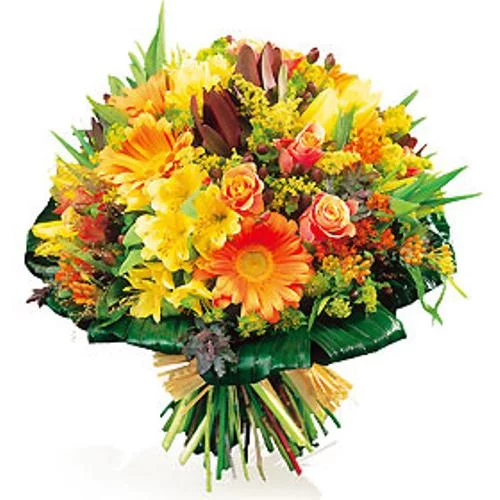 view_81.webp