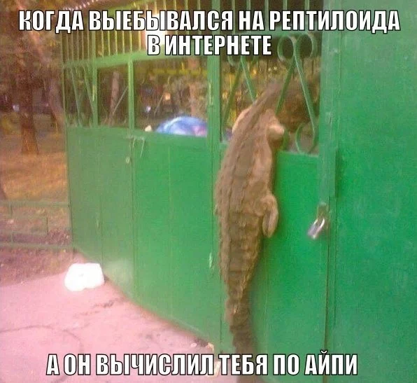 VIWWPs3N-BM.webp