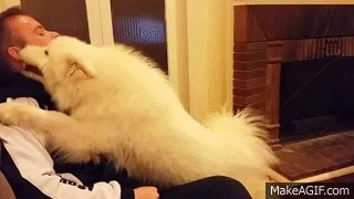 vJNXqs.gif