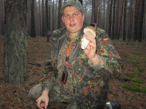 vJSeV.webp