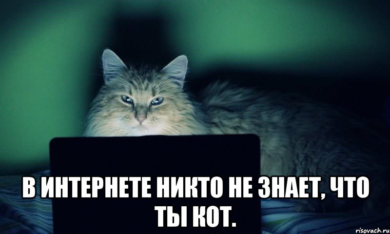 vkcomsnegiryata_23490134_big_.jpg