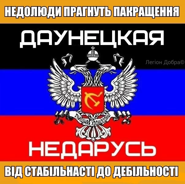 VLxhYgB_MgE.webp