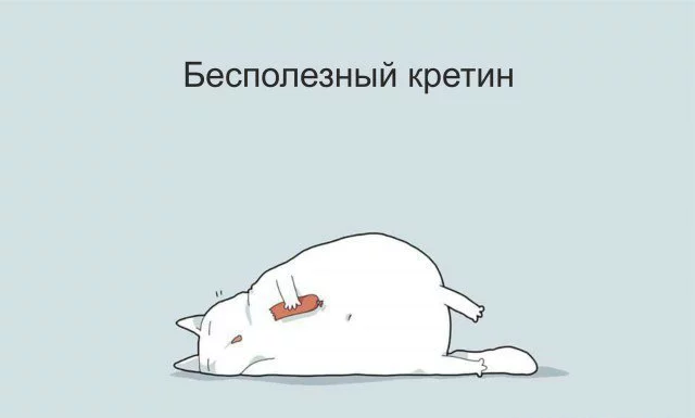 vnHYtAotkpM.webp