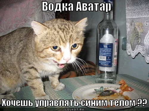 vodka-avatar_1331731906.webp