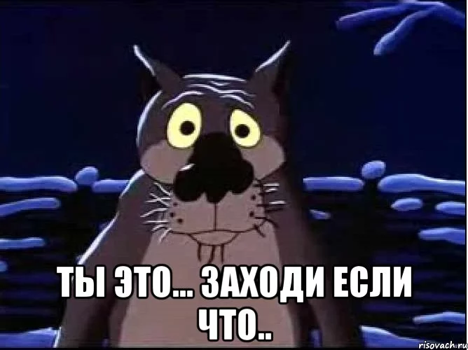 volk_7925154_orig_.webp