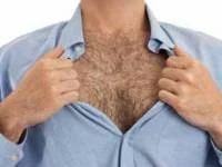volosataya_grud.thumb.webp