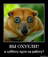 vq-mqTw8x2QfSgg1LVpgvH91k1mbAdlEQ8a9ZYY1_dgRbvenDw.webp