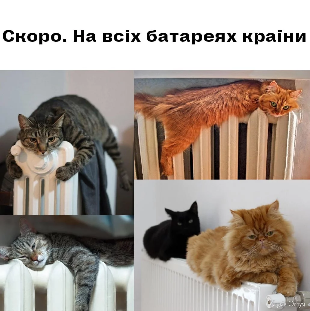  всех батареях.webp