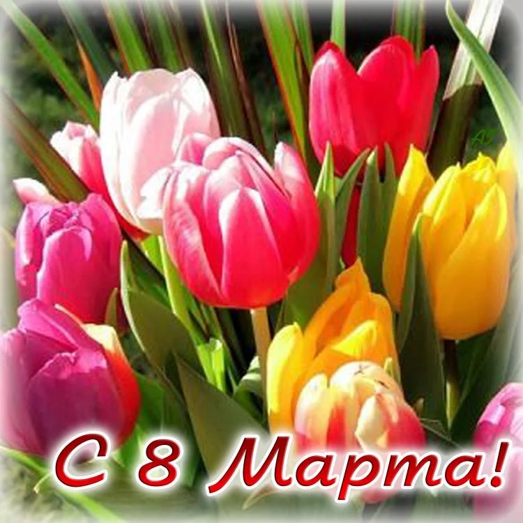 vt569PUuWcA.webp
