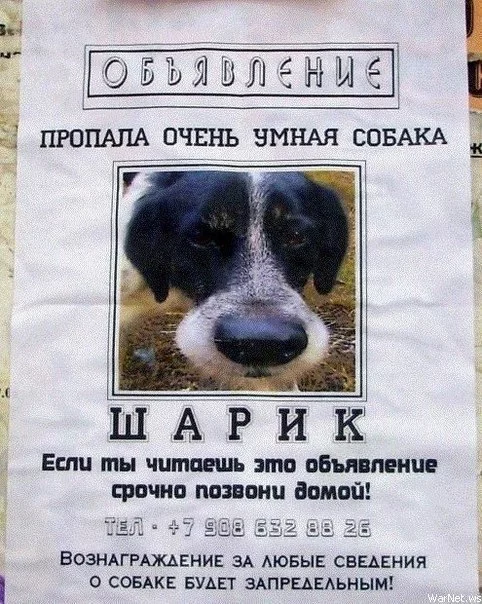 vViV-3yEVOI.webp