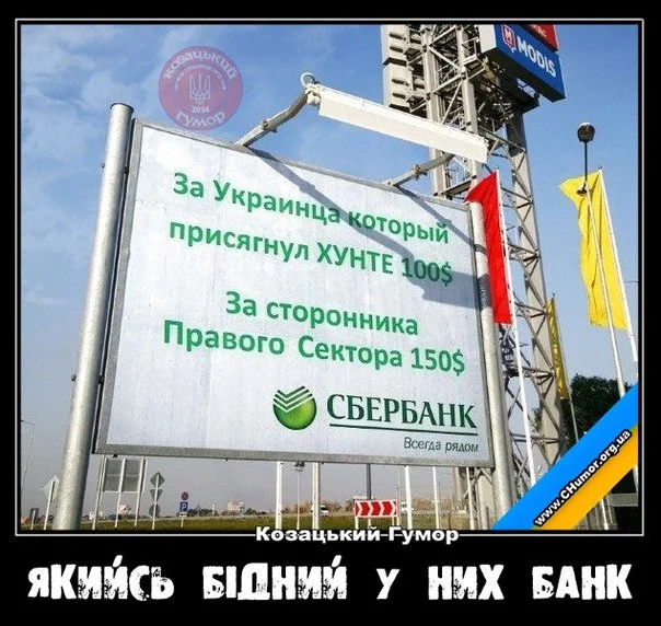 VvyiK68zgts.webp