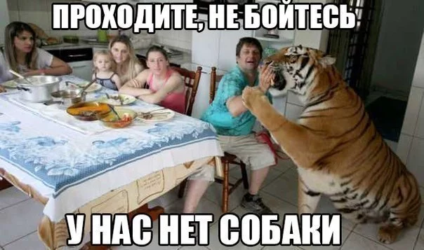 vVZNrGvVV7k.webp